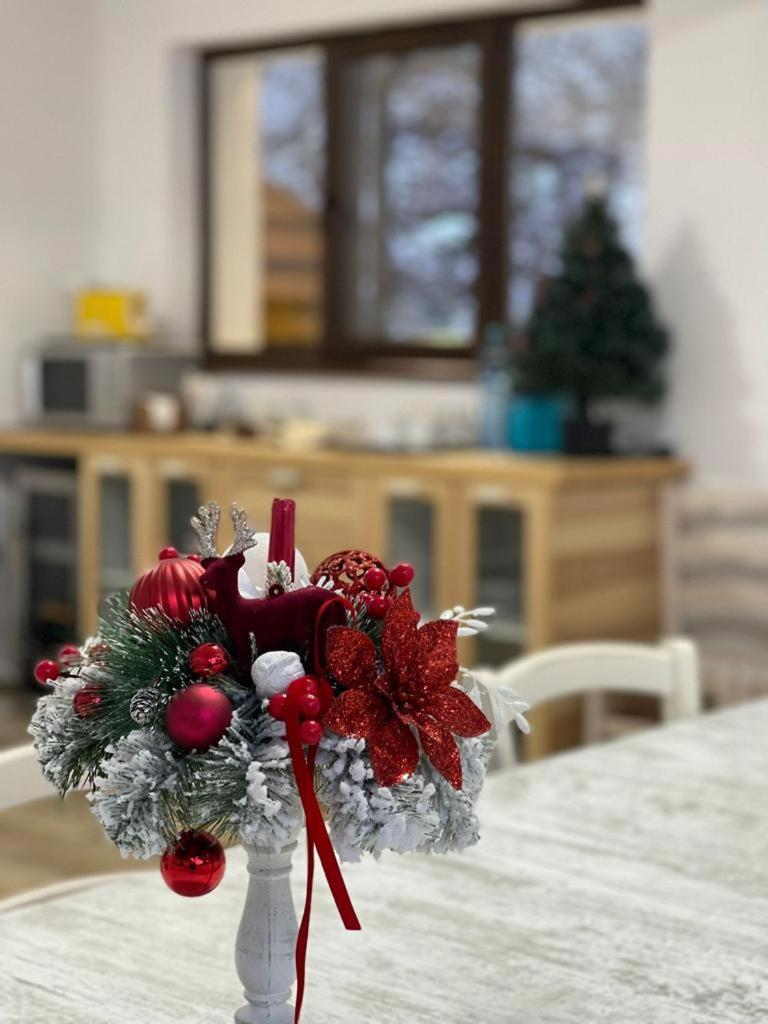 Hotel D' Magic Brosteni Zewnętrze zdjęcie